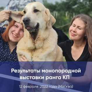 Результаты монопородной выставки ранга ПК (победитель клуба) породы Испанский мастиф