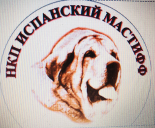 МОНОПОРОДНАЯ ВЫСТАВКА ИСПАНСКИЙ МАСТИФ - ранга КЧК в каждом классе!!!